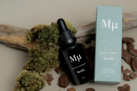 Mμ 套裝：獅鬃精（專注與記憶）、蟲草（力量與恢復）、靈芝（平衡與和諧）、白樺茸和人參（平靜與恢復力）以及火雞尾（恢復與免疫力）